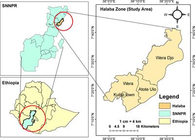 Individual and community-level factors associated with khat (Catha edulis) use among women of reproductive age in Halaba zone, South Ethiopia: a multilevel mixed effect analysis